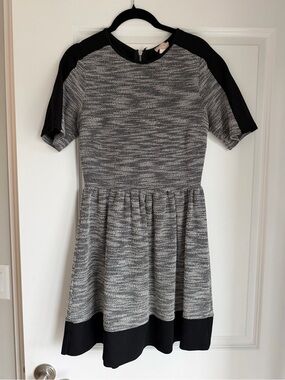 love...ady Black and Gray Knit Fit-and-Flare Dress